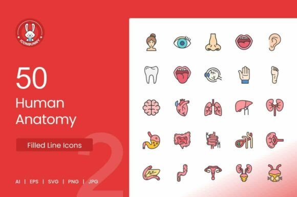 50 Human Anatomy Icons: A Designer’s Real-World Test