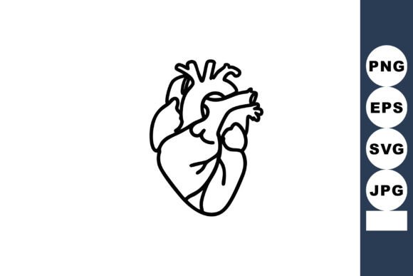 Human Heart Anatomy Black Outline Vector Review